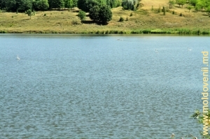 Водохранилище на реке Раковэц в селе Корестэуць, Окница