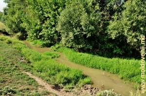 Река Раковэц в селе Тырнова, Единец