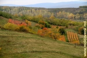 Peisaj de toamnă, raionul Călăraşi
