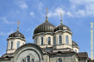 Mănăstirea Nicoreni
