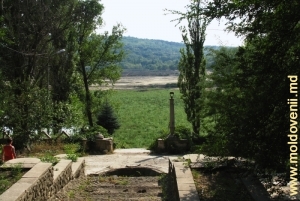 Valea Morilor, 2007