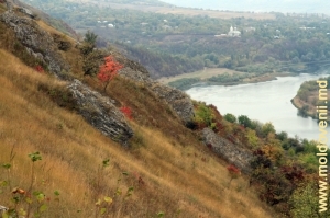 Panta malului cu stînci şi desişuri de arbuşti, vedere spre satul Naslavcea