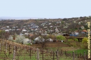 Село Ходжинешть, Кэлэраш 