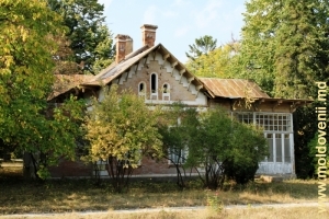 Clădirea oranjeriei, conacul de la Ţaul, Donduşeni