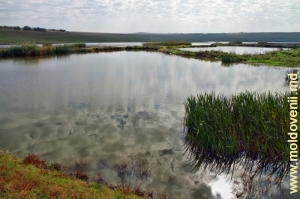 Lacul de acumulare de pe rîul Camenca din preajma satului Buteşti, Glodeni