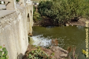 Река Каменка в селе Каменка, Глодень
