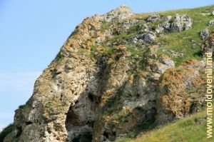 Reciful de toltre, sus de rîul Ciuhur, în preajma satului Horodişte, Rîşcani