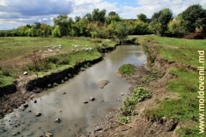 Река Чухур и его долина в селе Столничень, Единец