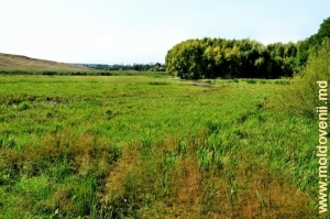 Долина Раковца в селе Мэркэуць, Бричень
