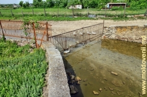 Ручей, образуемый источниками, впадающий в реку Кайнары