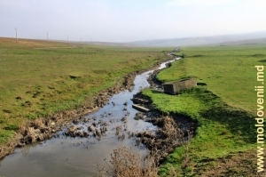 Река Кушмирка у села Кушмирка