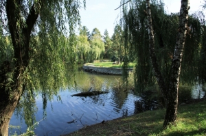 Искусственный островок на озере в парке
