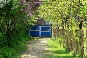 Alee şi poarta  ale unei case ţărăneşti, satul Oneşti, Străşeni