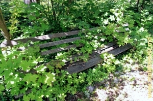 Старая скамейка вблизи лечебного корпуса