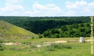 Pădurea- rezervaţie şi o parte din şirul de toltre, ocolul silvic „La Castel”