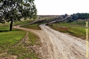 Дороги вдоль водохранилища между селами Кукуеций Ной и Каменка