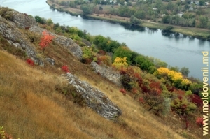 Panta malului Nistrului plină cu stînci şi împădurită cu arbuşti, vedere în direcţia satului Naslavcea