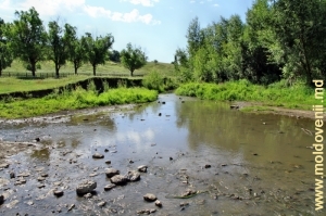 Река Раковэц в селе Тырнова, Единец