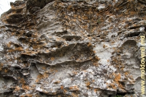 Изъеденные ветром и водой скалы на склоне крутого берега Днестра