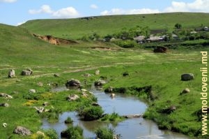 Река Чухур у села Друца, Рышкань. Май 2014 г. 
