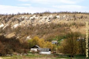Vedere a părţii de sus a văii rîului Cosărău de pe panta defileului deasupra pîrîului Bîrnova