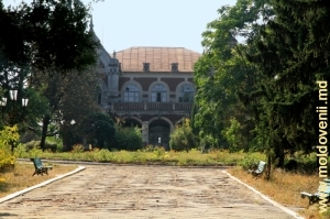 Вид на усадьбу с главной аллеи приусадебного парка Цауль