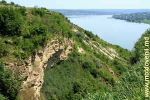 Panta stîngă a defileului şi vedere spre lacul de acumulare, prim-plan