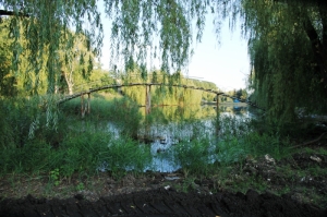 Вид на мостик через озеро