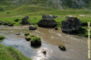 Река Чухур в ущелье у села Почумбень, Рышкань 