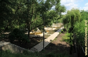 Парк, июнь 2011