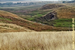 Каменка после выхода из водохранилища между селами Кукуеций Ной и Каменка