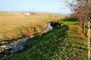 Река Кушмирка у села Лелина