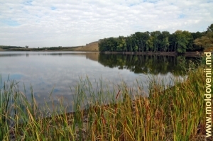 Lacul de acumulare de pe Camenca între satele Cobani şi Balatina