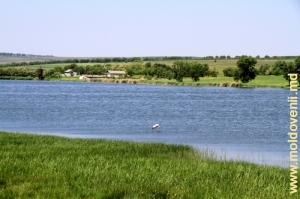 Озеро вблизи села Дружинень