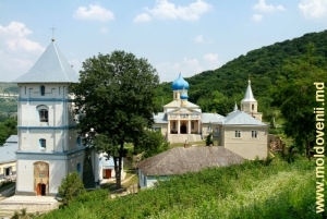 Vedere spre mănăstire din partea intrării în rezervaţie