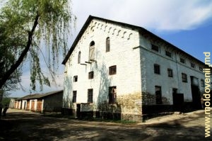 Здания бывшей помещичьей усадьбы в Брынзенах