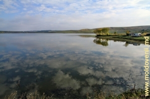 Lacul de acumulare de pe rîul Camenca, satul Sturzeni Rîşcani