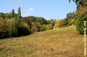Склон и аллея в нижней части парка Цауль, средний план