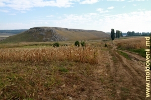 Дорога в долине Каменки между селами Кобань и Балатина
