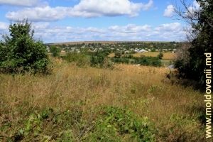 Vedere spre sat de la marginea parcului