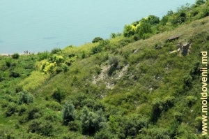 Vedere din defileul de la Mărcăuţi spre malul lacului de acumulare