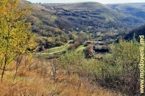 Vedere spre valea rîului Cosărău de pe panta de sus de Rîpa Rudi