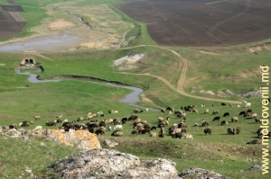 Долина реки Драгиште между селами Фетешть и Бурлэнешть, апрель 2013 
