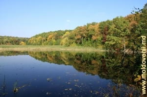 Lacul din parcul Ţaul, Donduşeni