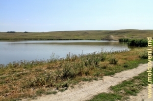 Водохранилище в селе Бэлкэуць, Бричень