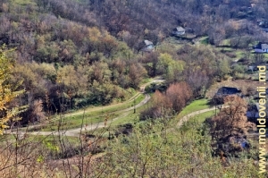 Вид на долину реки Косарэу со склона над Рудым яром