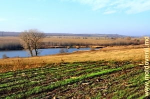 Водохранилище на реке Кушмирке вблизи села Ципордей