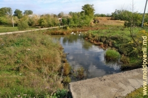 Мост над Каменкой у села Кукуеций Векь, Рышкань