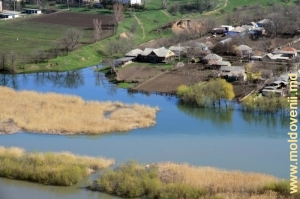 Днестр у села Ципова, Резина. Вид на левый берег. Апрель, 2013 г.