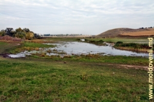 Река Каменка между селом Каменка и селами Молешть и Бутешть, Глодень